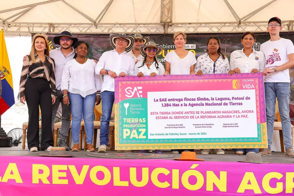 Palmito Sucre Colombia